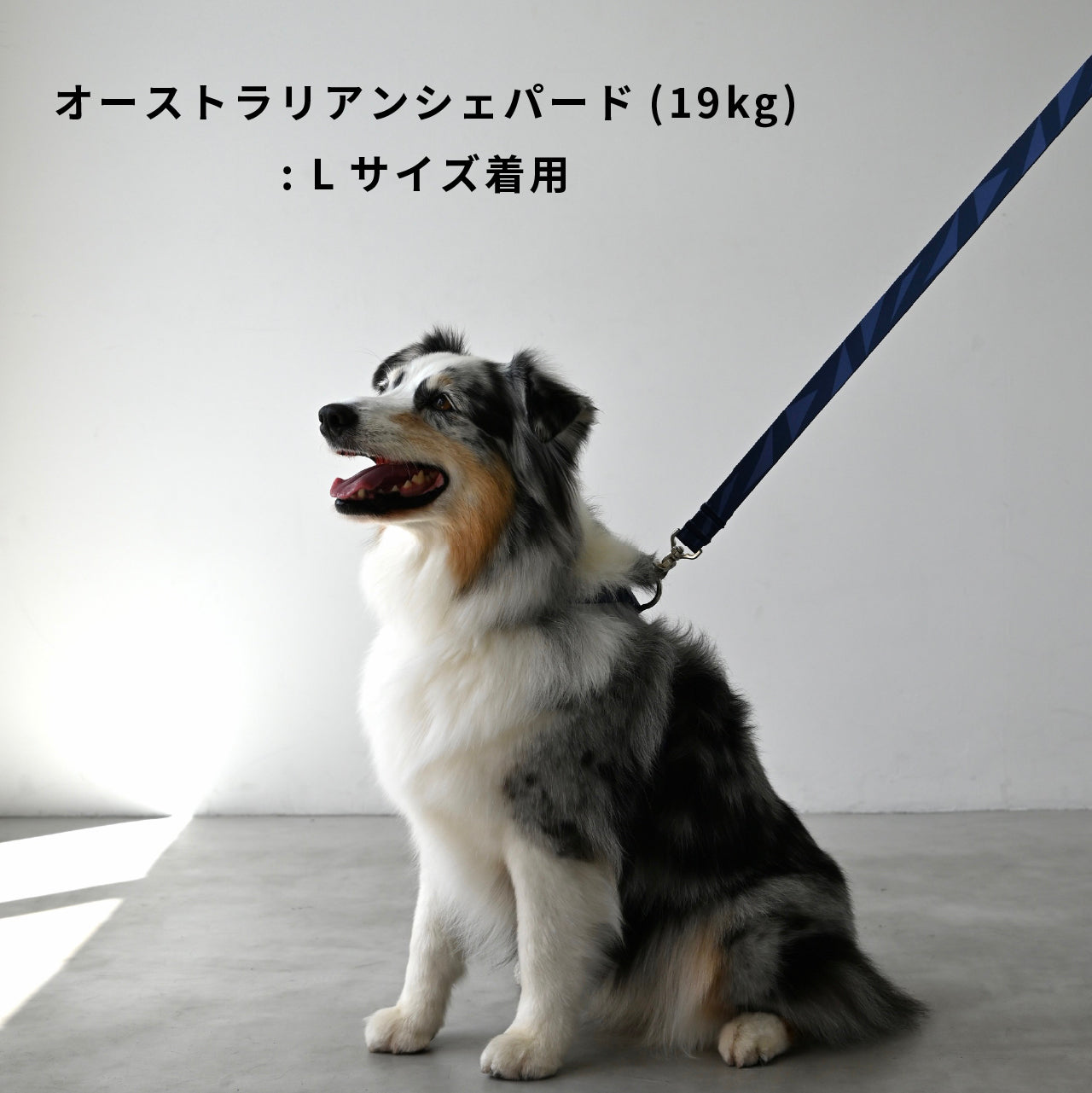 首輪「geometric」ネイビー