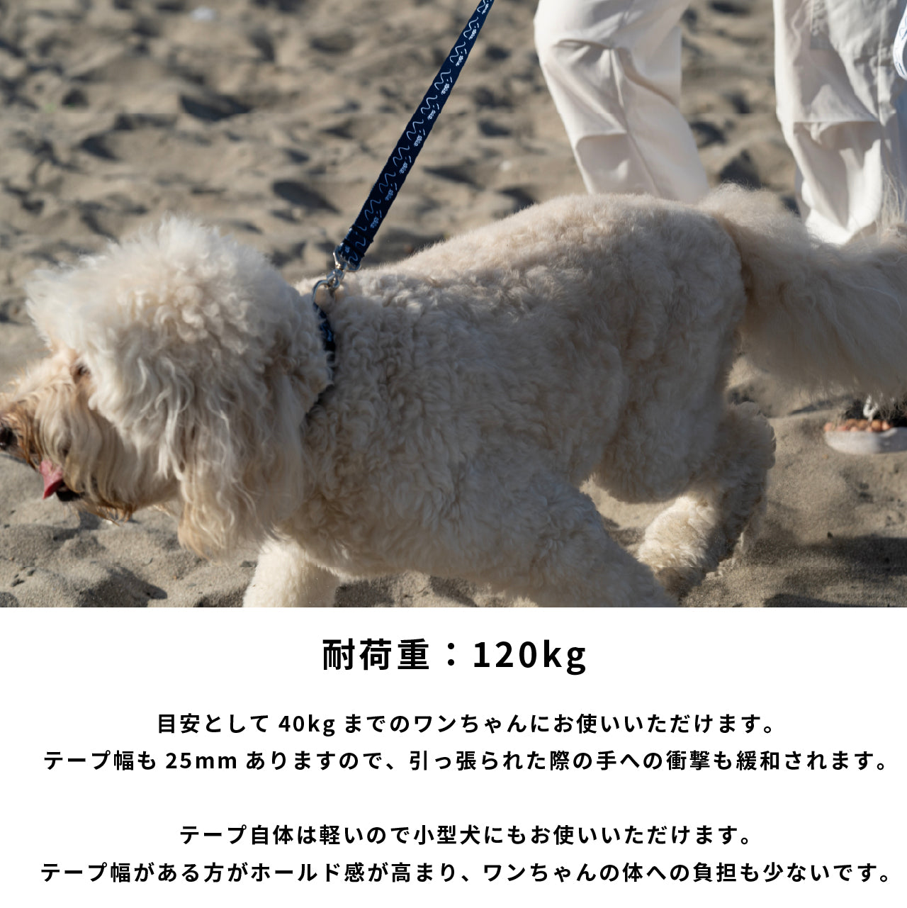 リード 「dogsheds」ネイビー