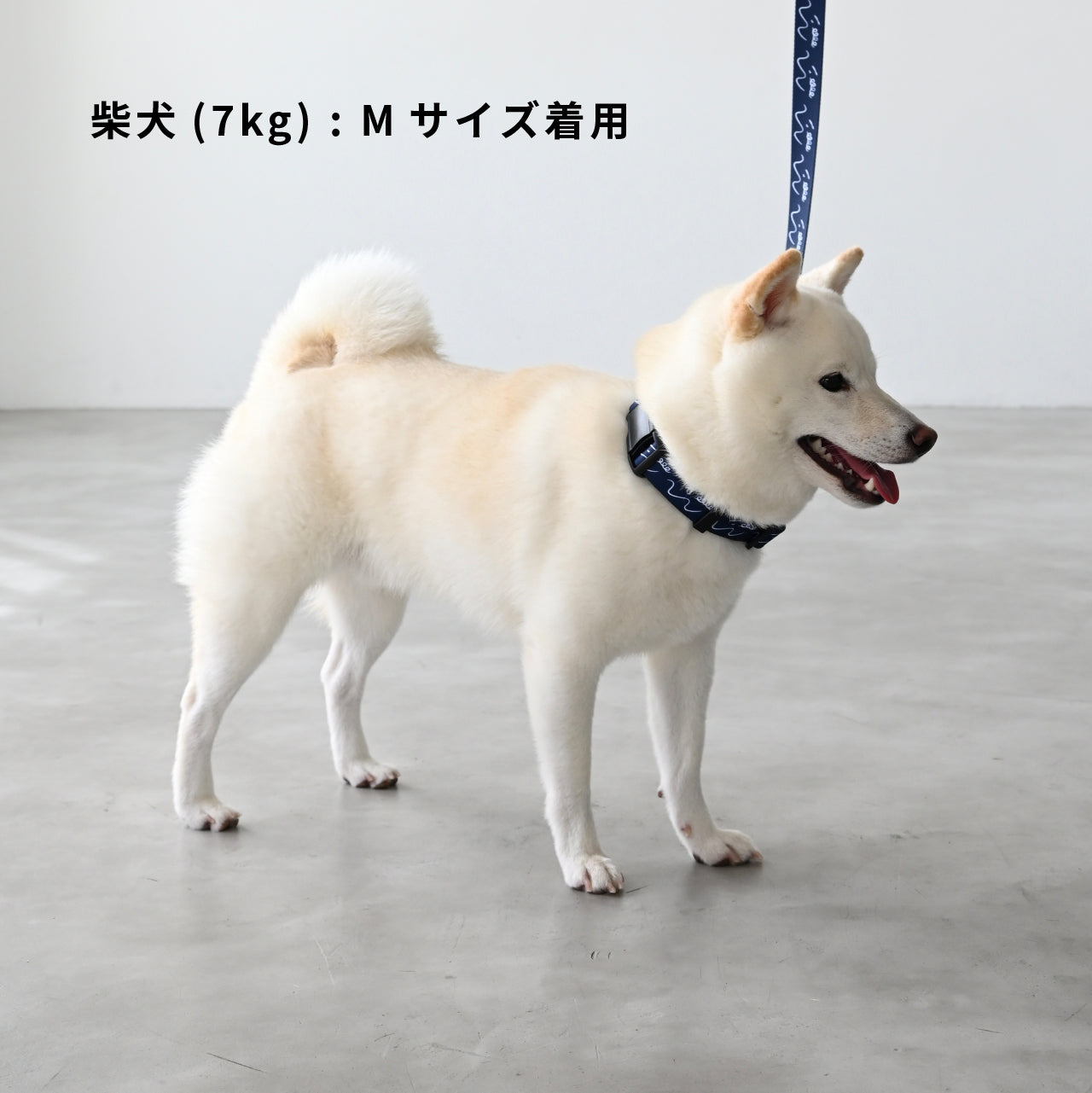 首輪 「dogsheds」ネイビー
