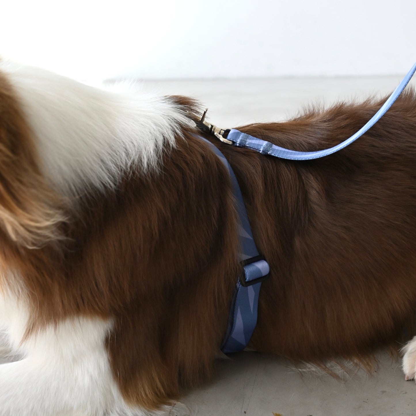 8の字ハーネス geometric グレー