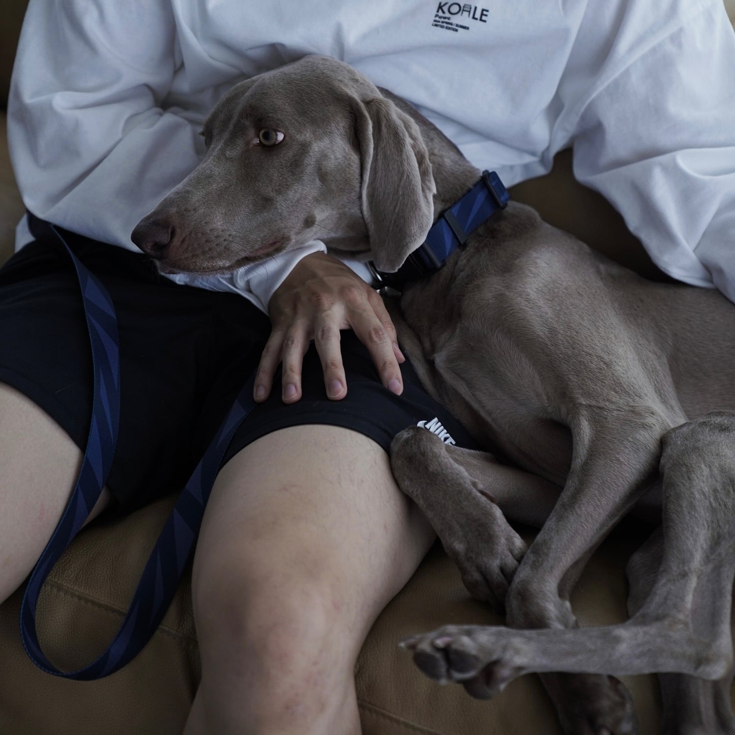 首輪 geometric ネイビー