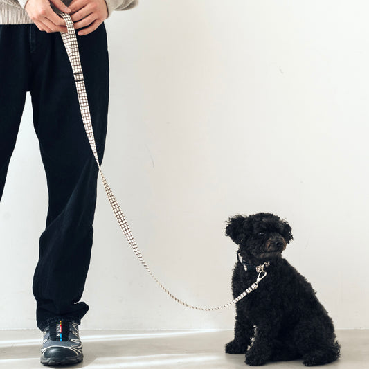 リード Windowcheck アイボリー×ブラウン