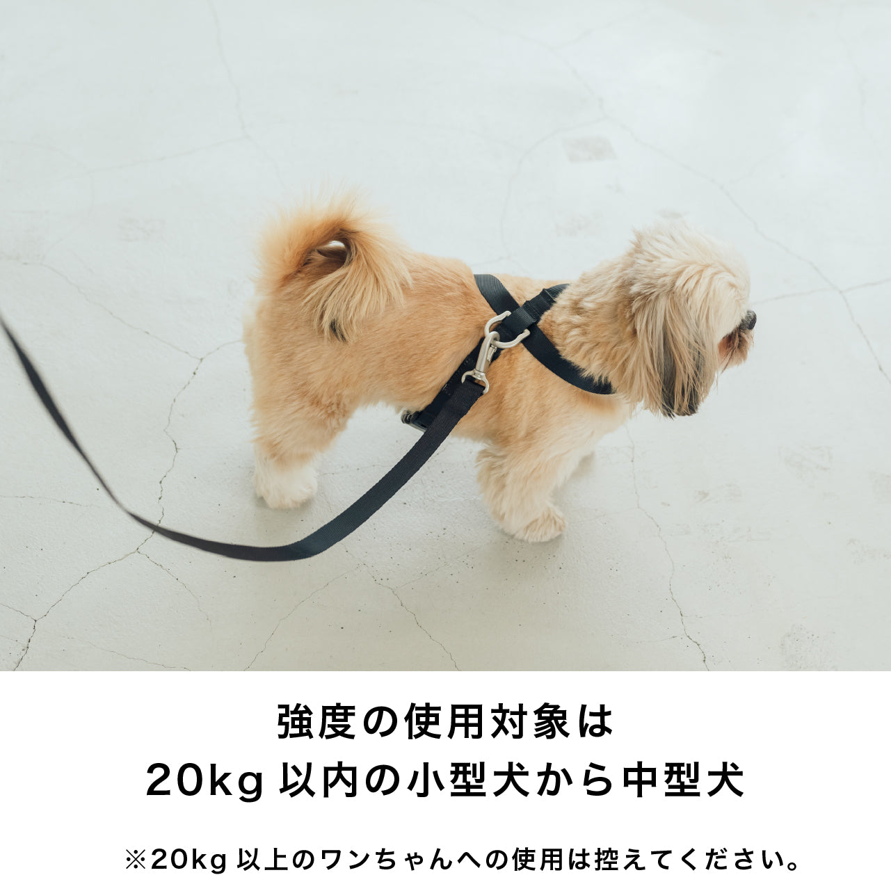 リード ブラックエディション