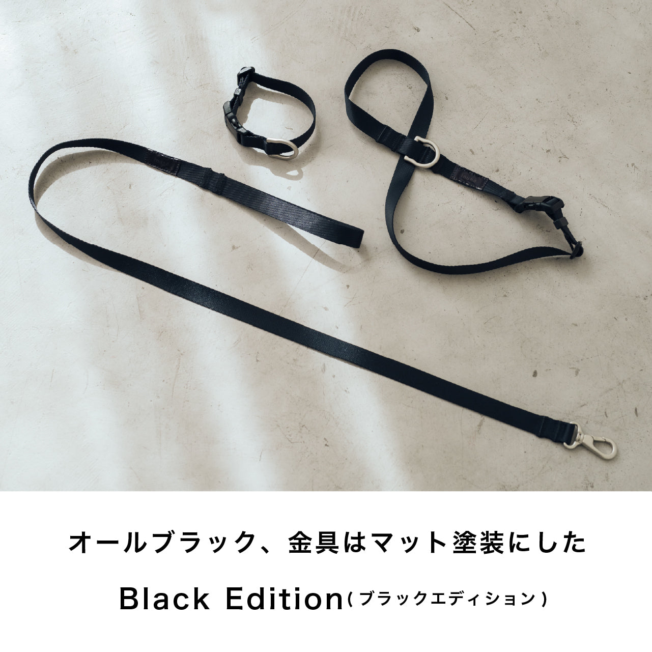 首輪 ブラックエディション2025