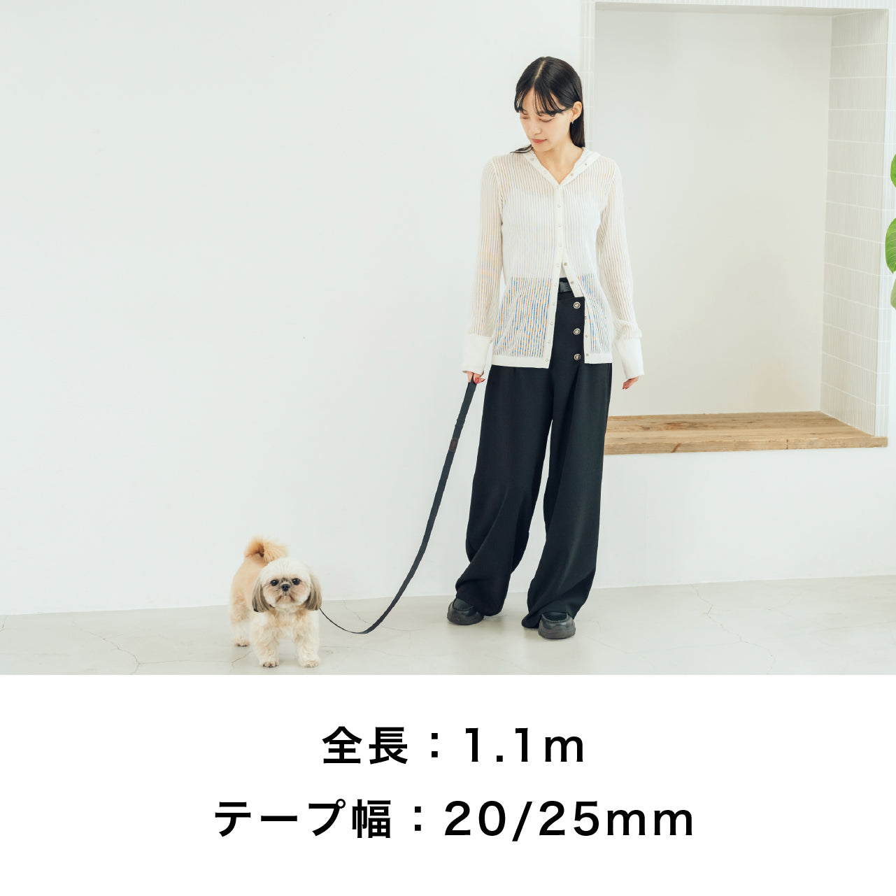 リード ブラックエディション