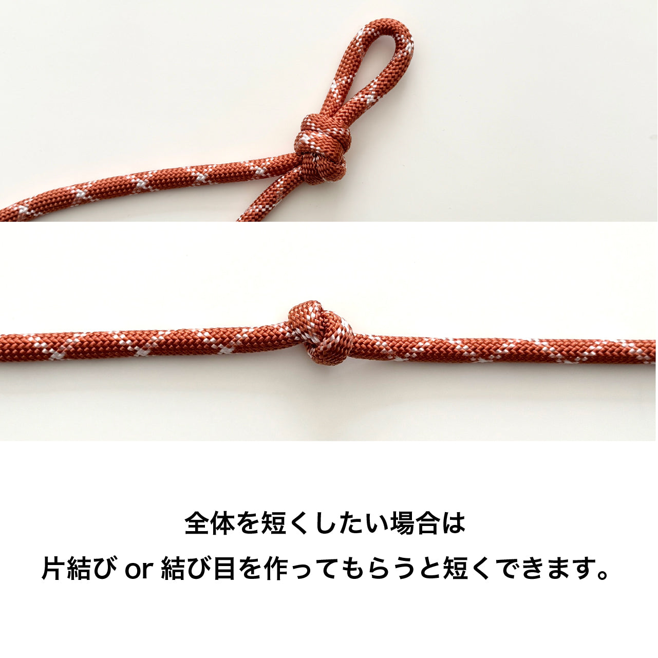 ショルダーリード(ロープ)ピンク×ホワイト