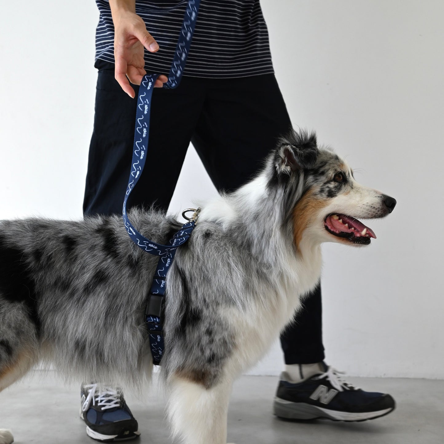 リード 「dogsheds」ネイビー