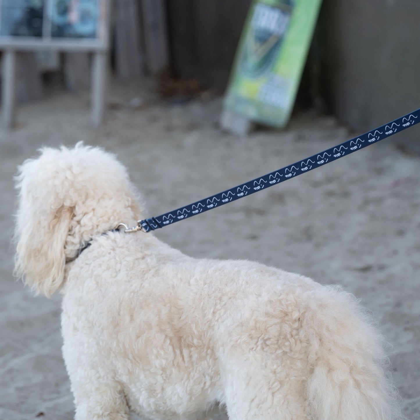 首輪 「dogsheds」ネイビー