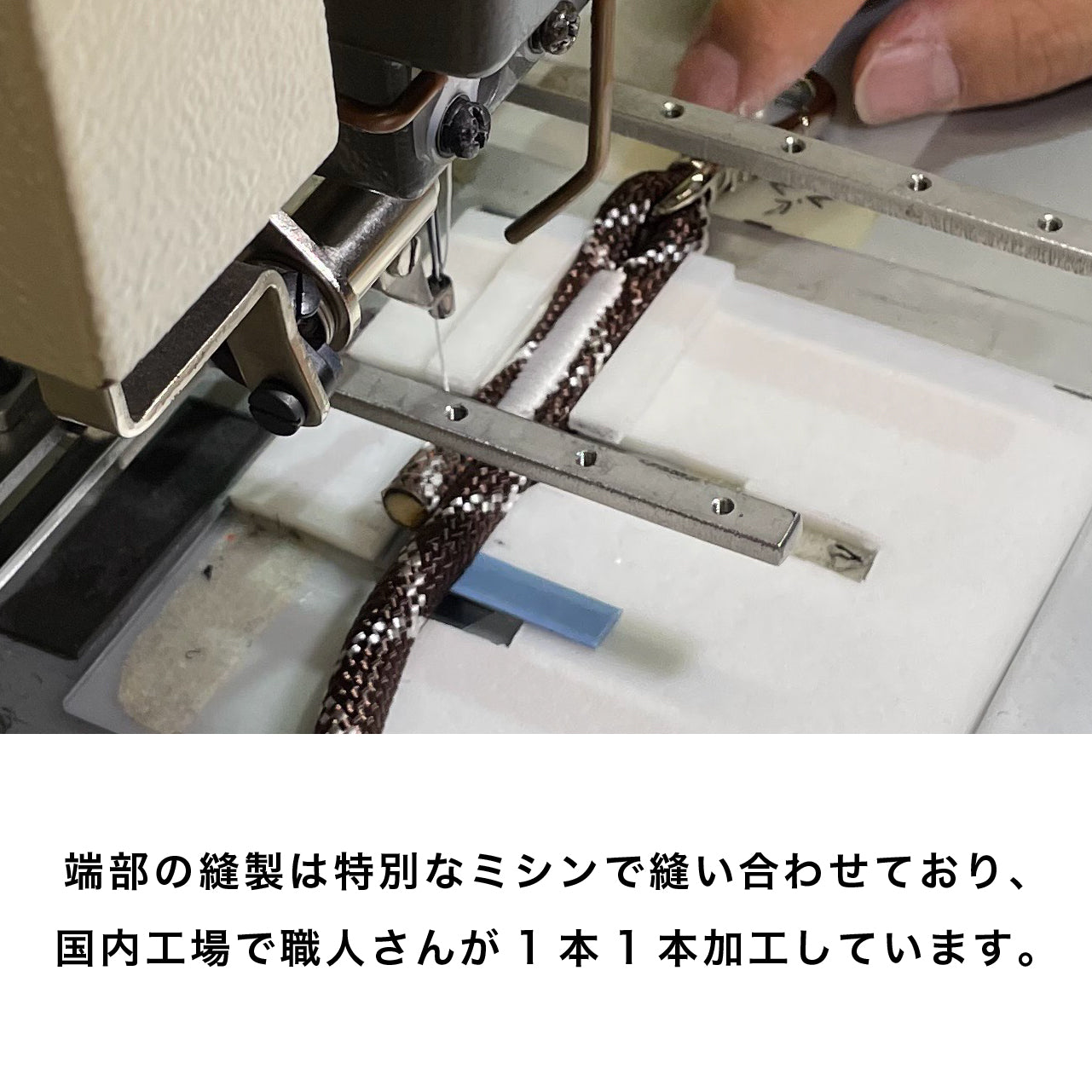ショルダーリード(ロープ)ピンク×ホワイト