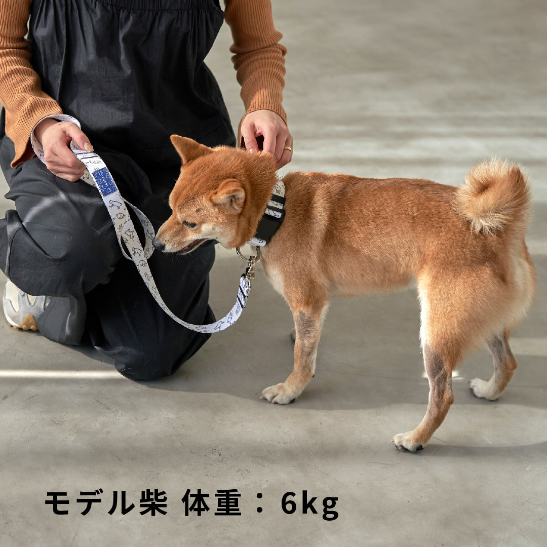 inuno. × 湖中そう 首輪 「拒否柴」ホワイト