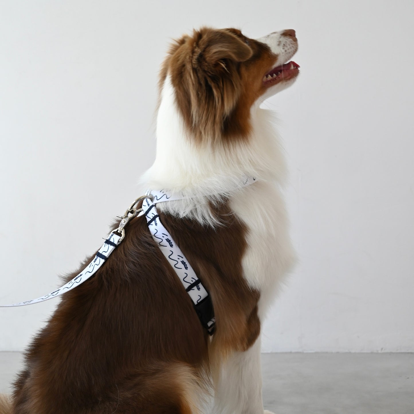 8の字ハーネス dogsheds ホワイト