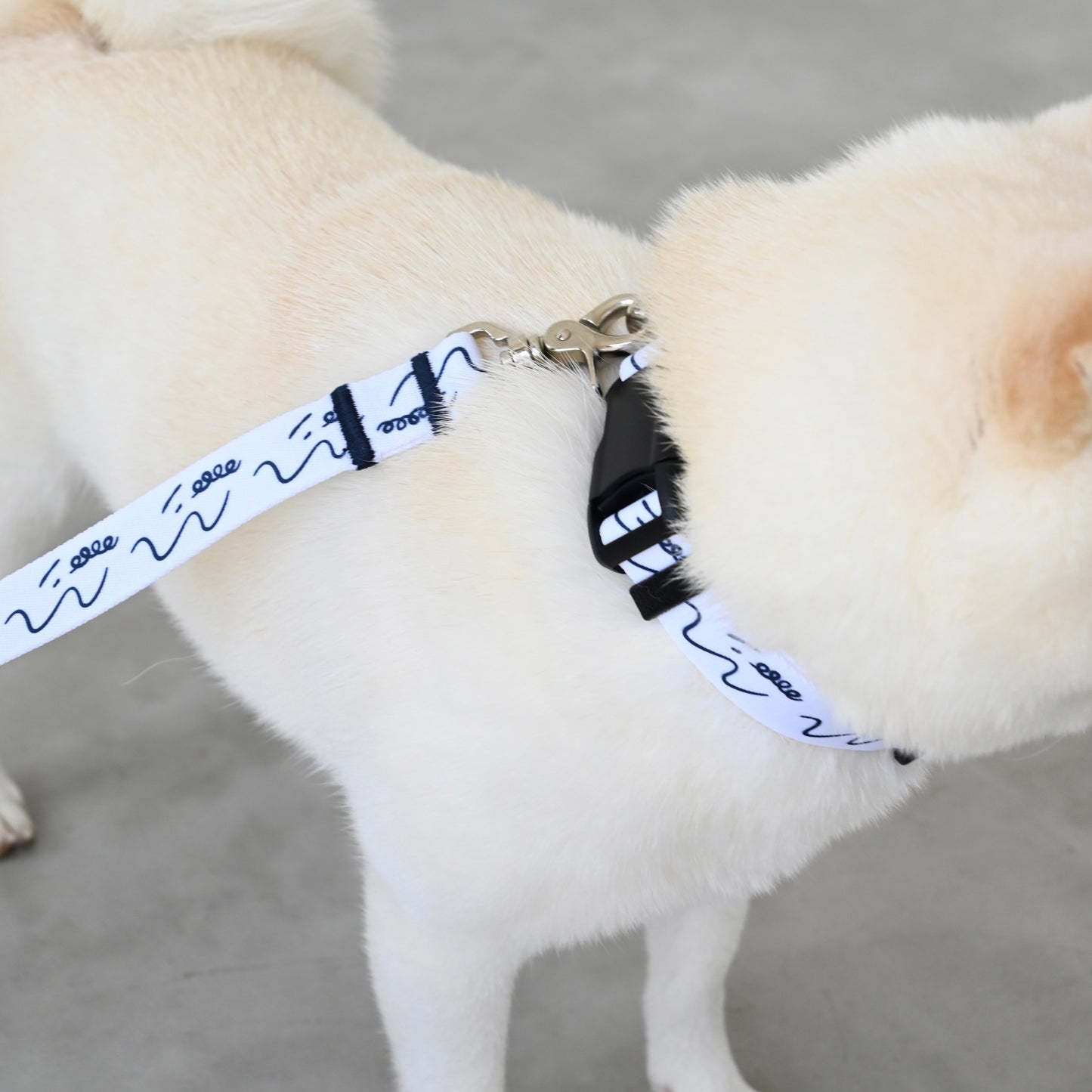 首輪 「dogsheds」ホワイト