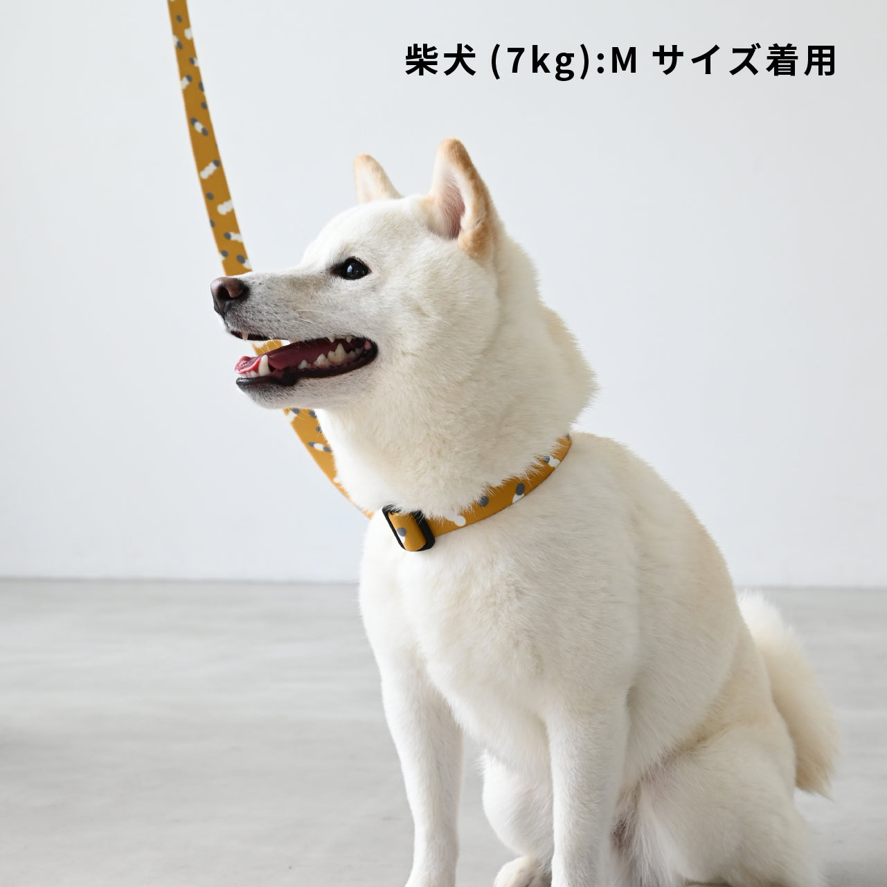 inuno. × tomokomurata 首輪 「movement of light」イエロー