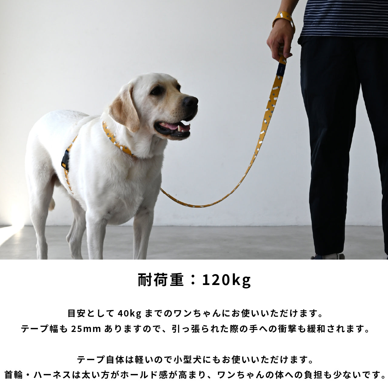 inuno. × tomokomurata リード 「movement of light」イエロー