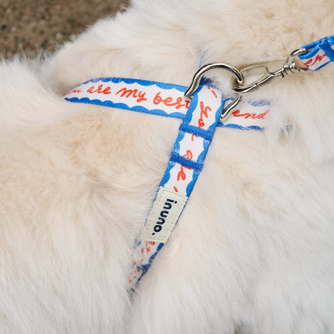 inuno.｜Dog Life Products