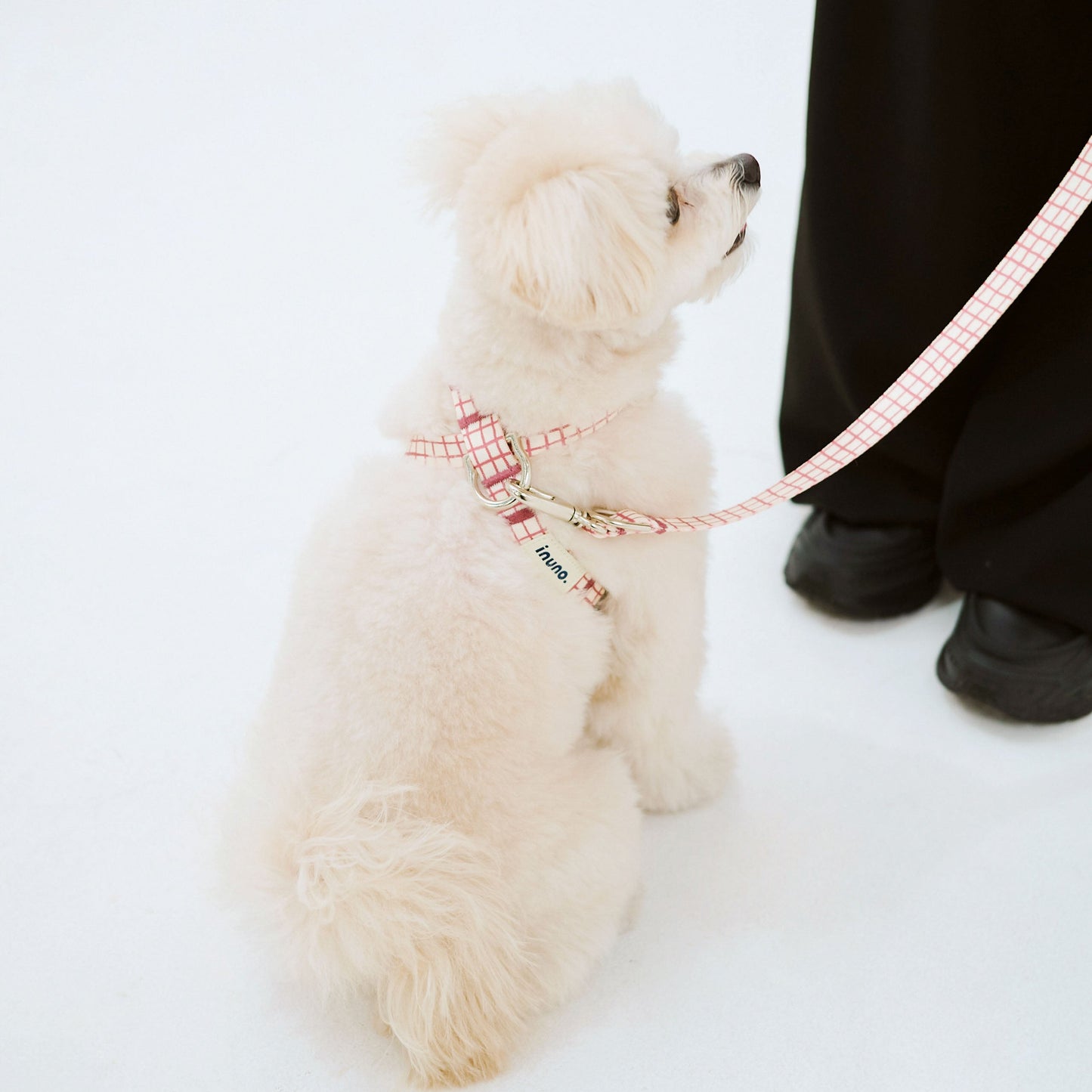 8の字ハーネス Windowcheck アイボリー×アズキ