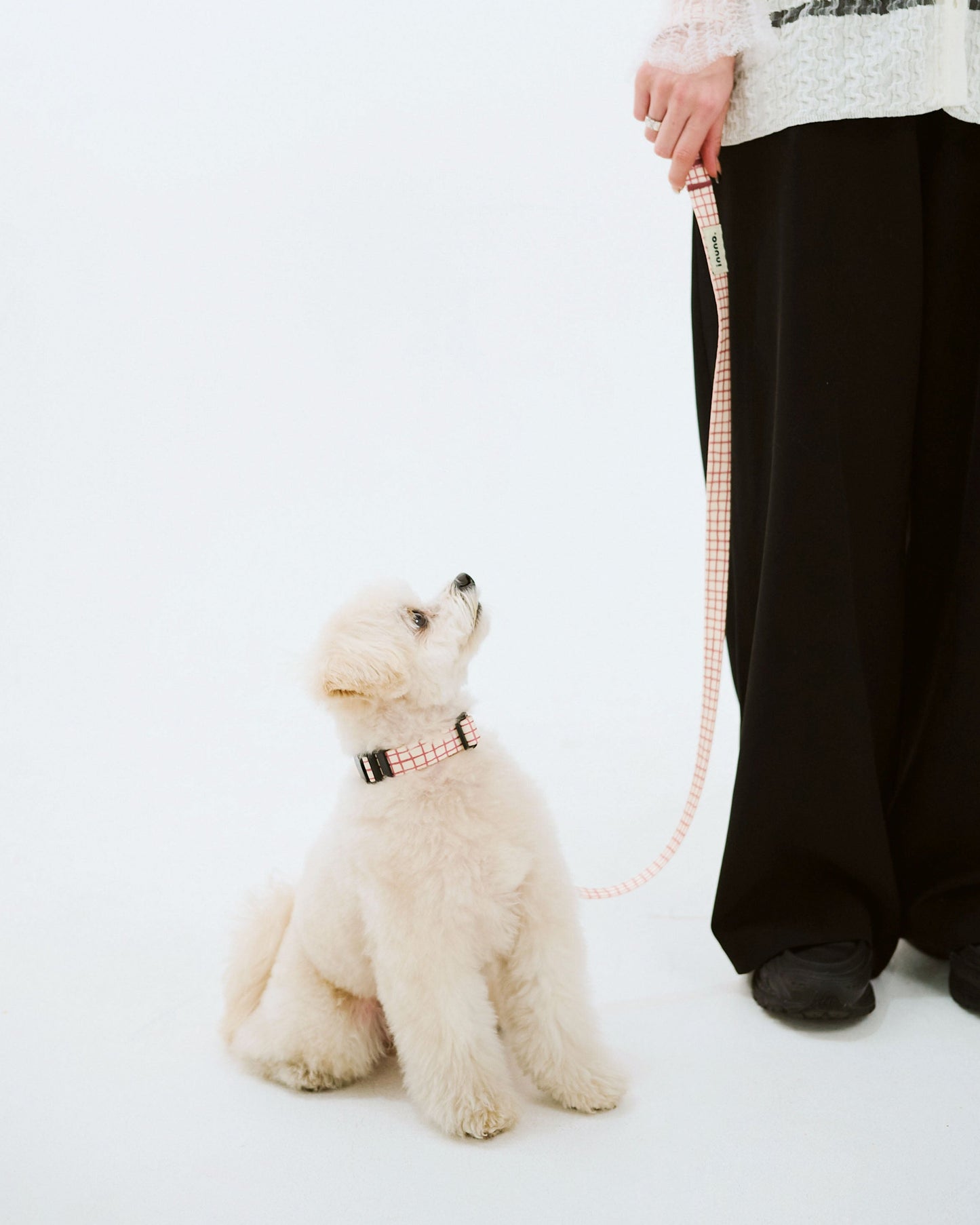 リード Windowcheck アイボリー×アズキ