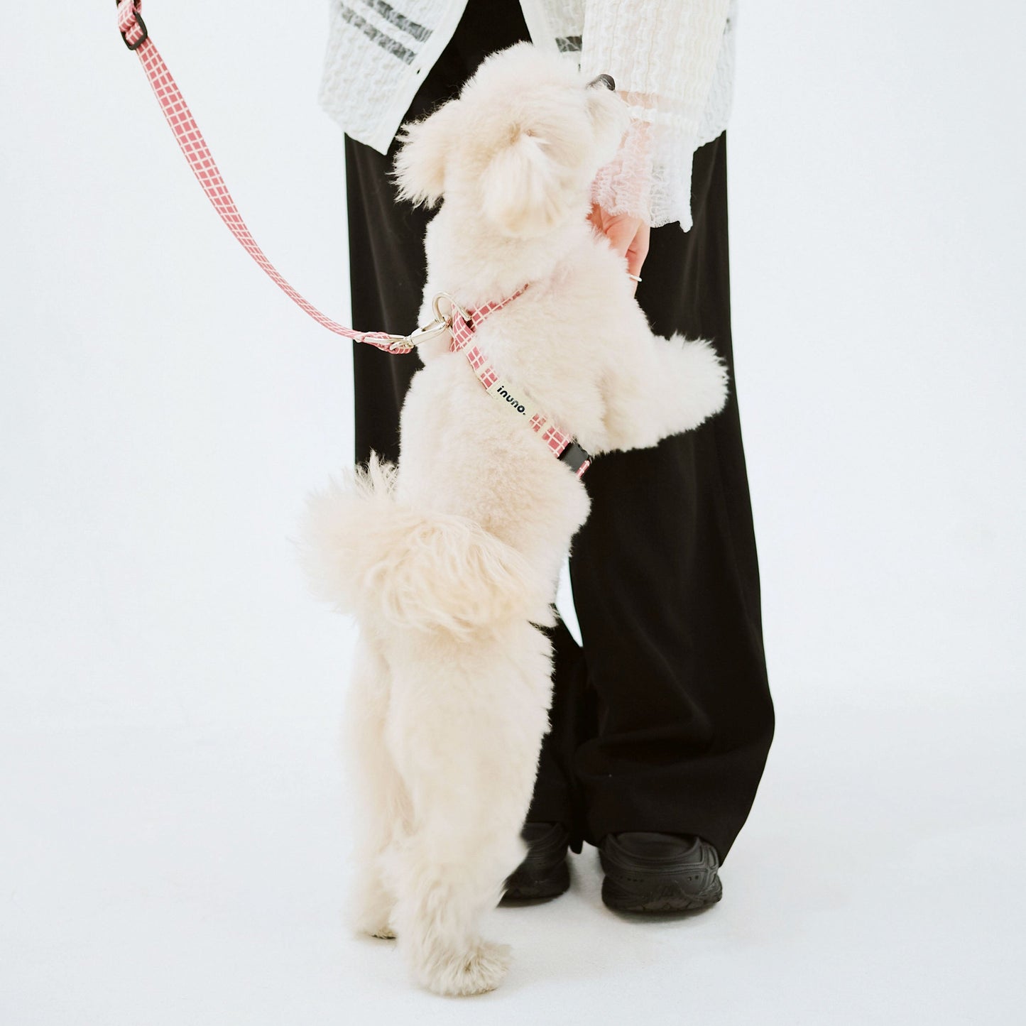 8の字ハーネス Windowcheck アズキ×アイボリー