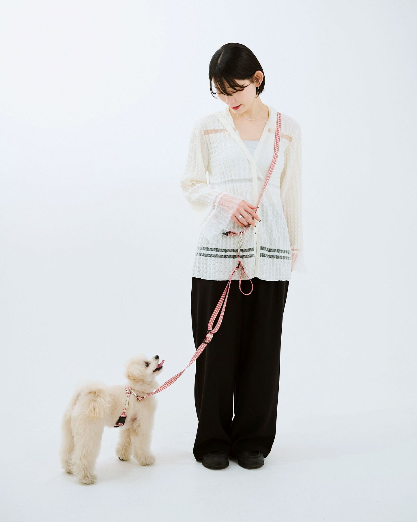 ショルダーリード on JETGLIDE®︎ Windowcheck アズキ×アイボリー