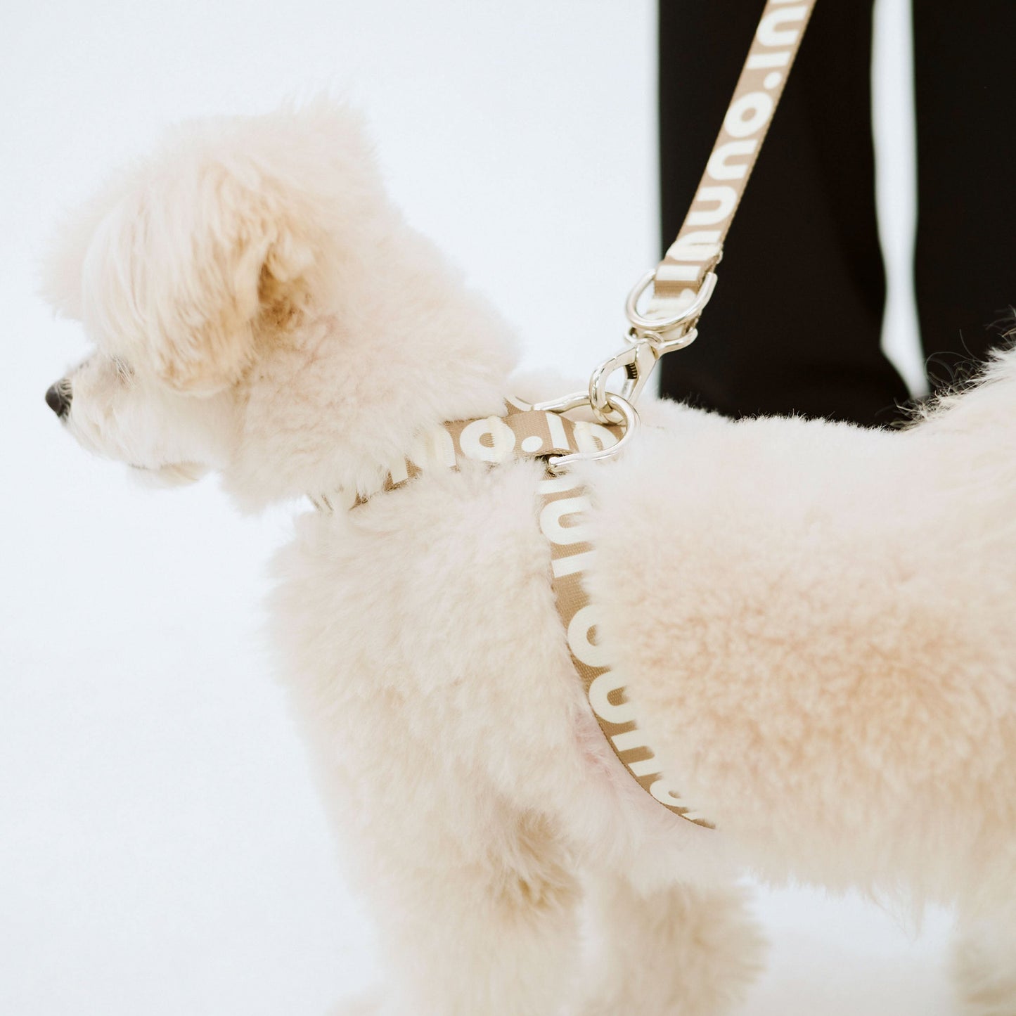 8の字ハーネス inuno. logo ベージュ