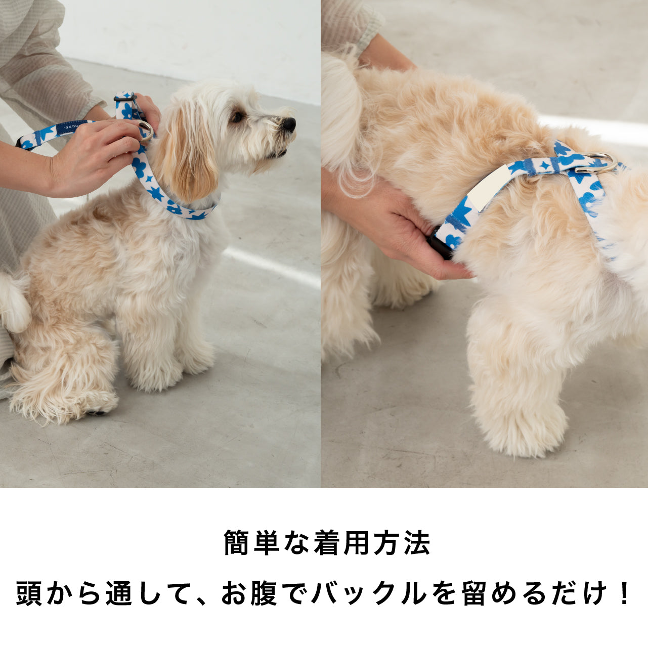 8の字ハーネス inuno. logo ベージュ