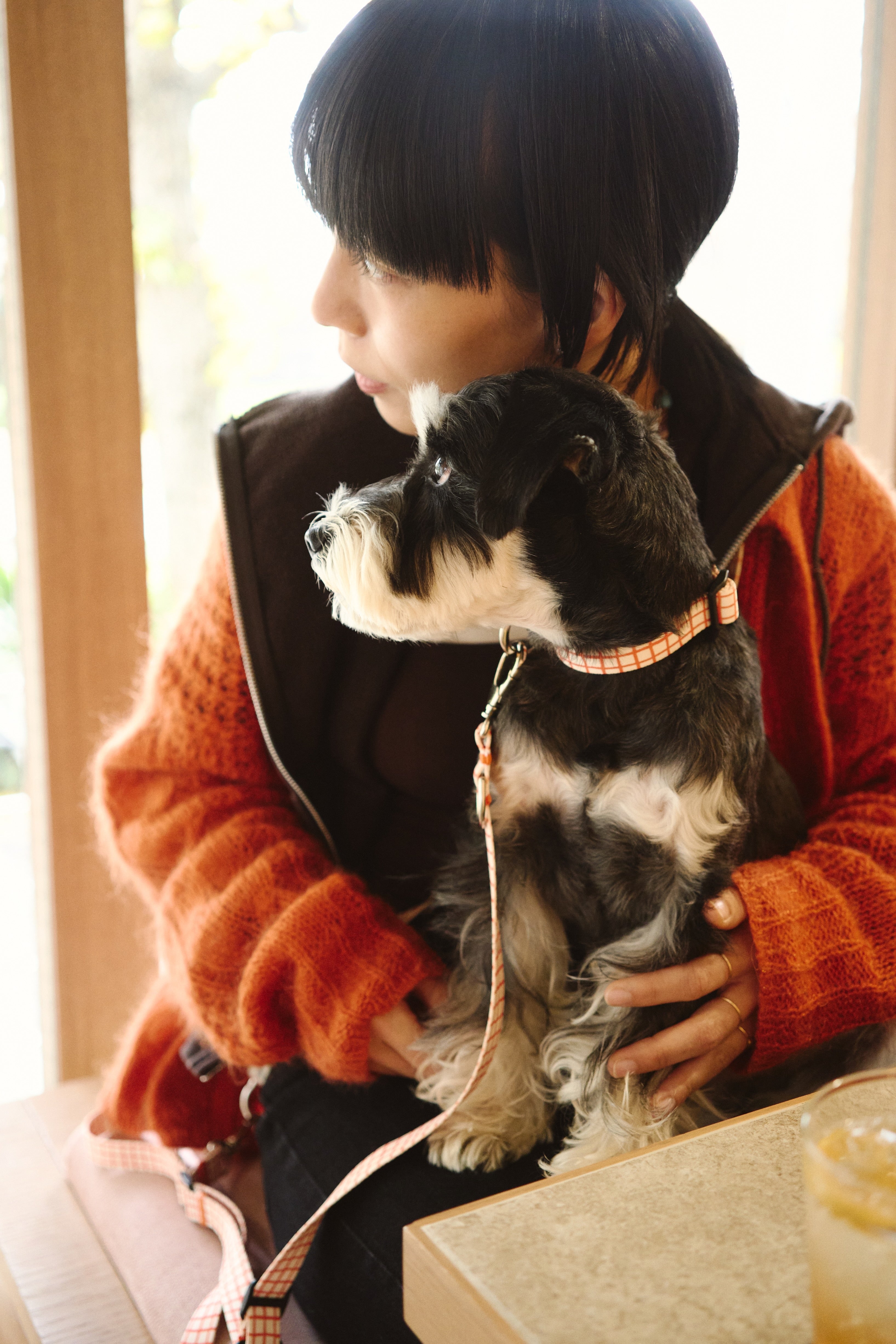 inuno.｜Dog Life Products