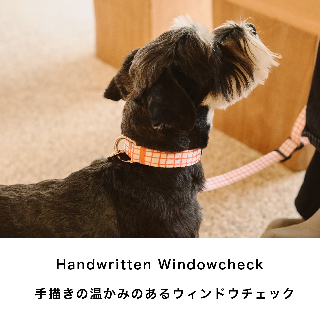 リード Windowcheck アイボリー×アズキ – inuno.