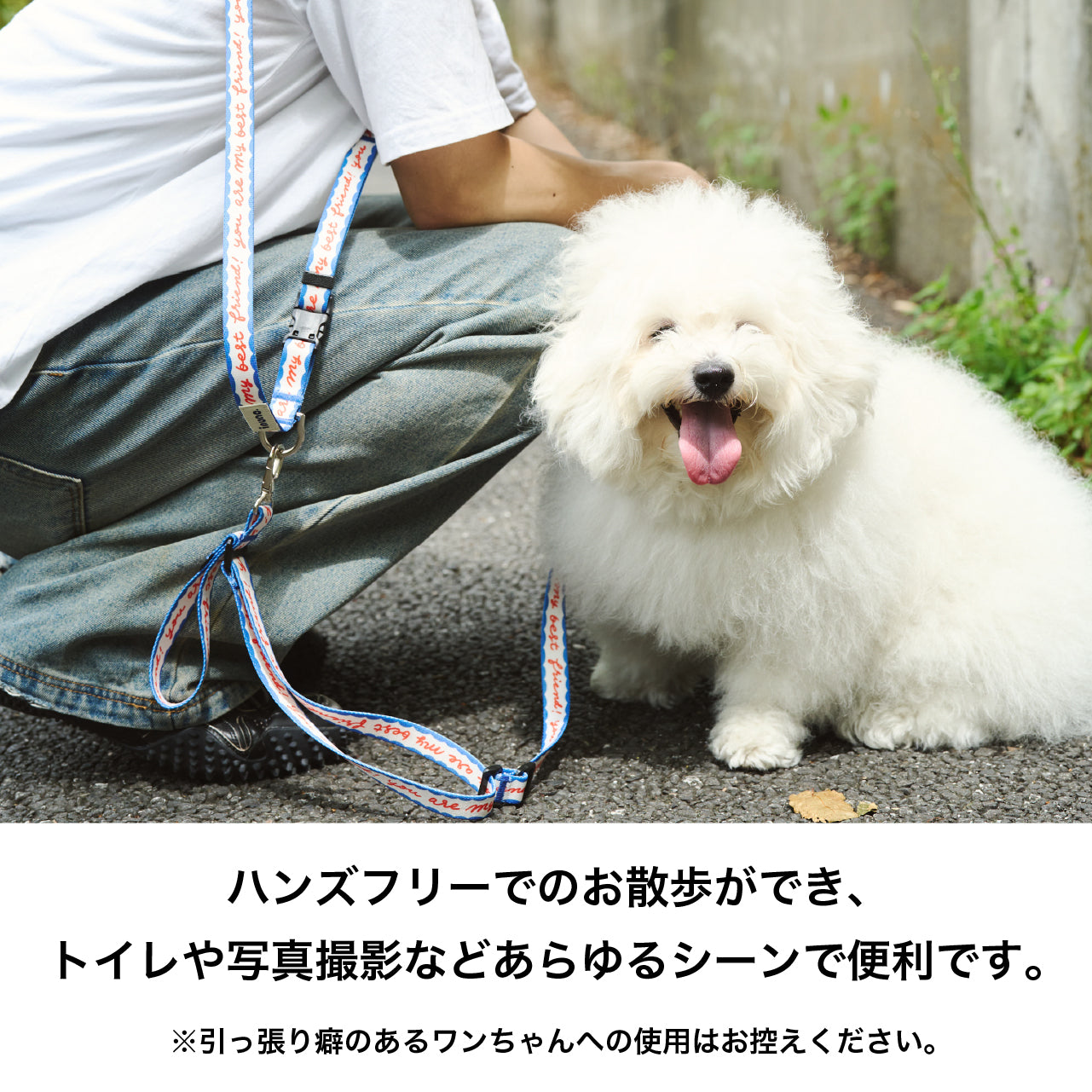 ショルダーリード on JETGLIDE®︎ bestfriend – inuno.